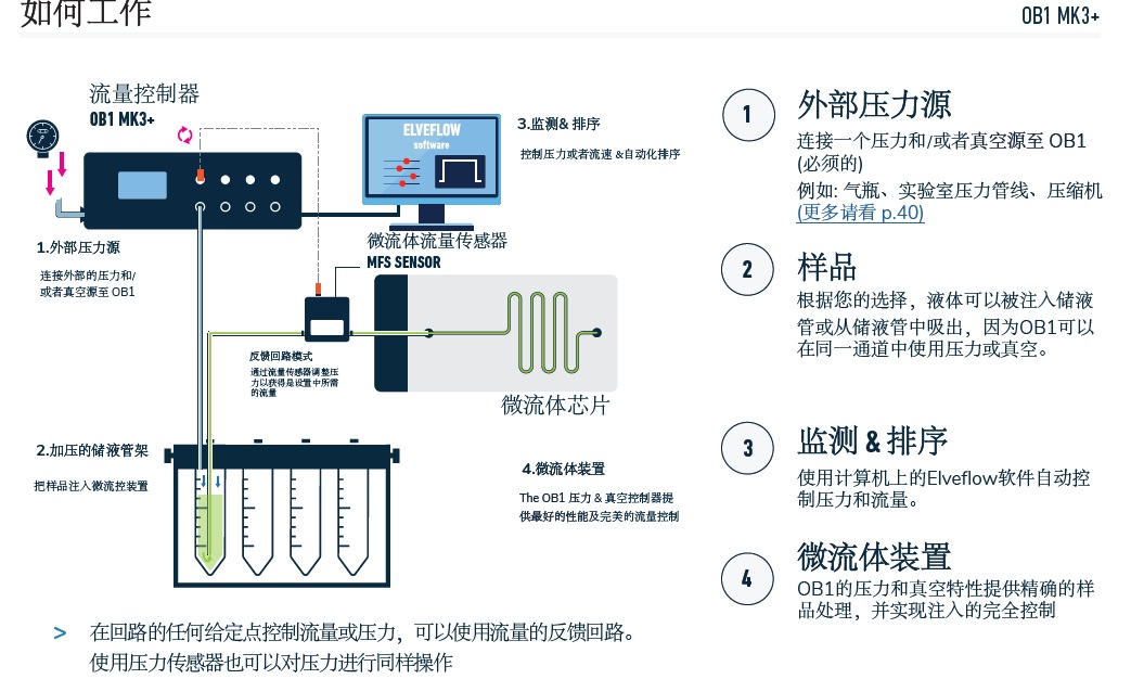 1631164281330726.jpg 003.jpg